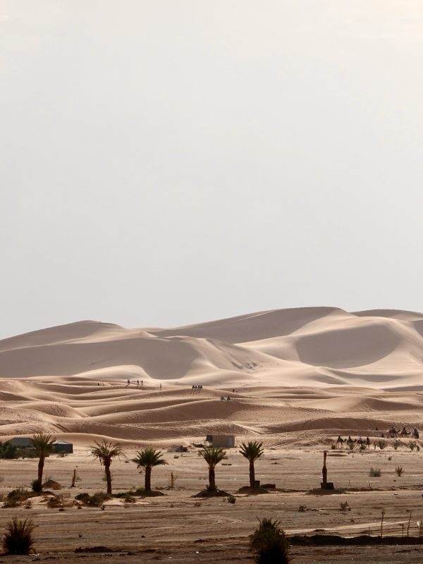 9 Days From Casablanca Desert and Camel Ride