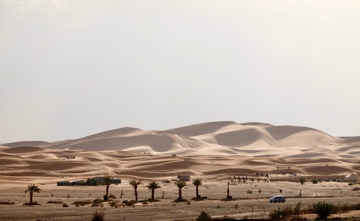 9 Days From Casablanca Desert and Camel Ride