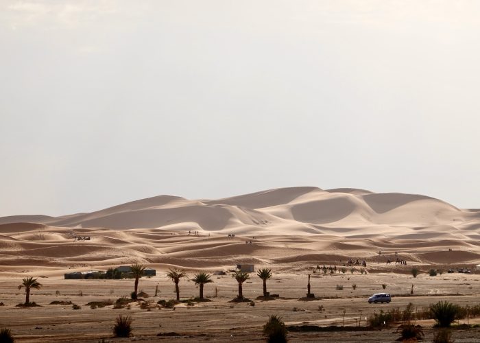 9 Days From Casablanca Desert and Camel Ride